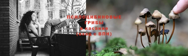 спайс Волоколамск